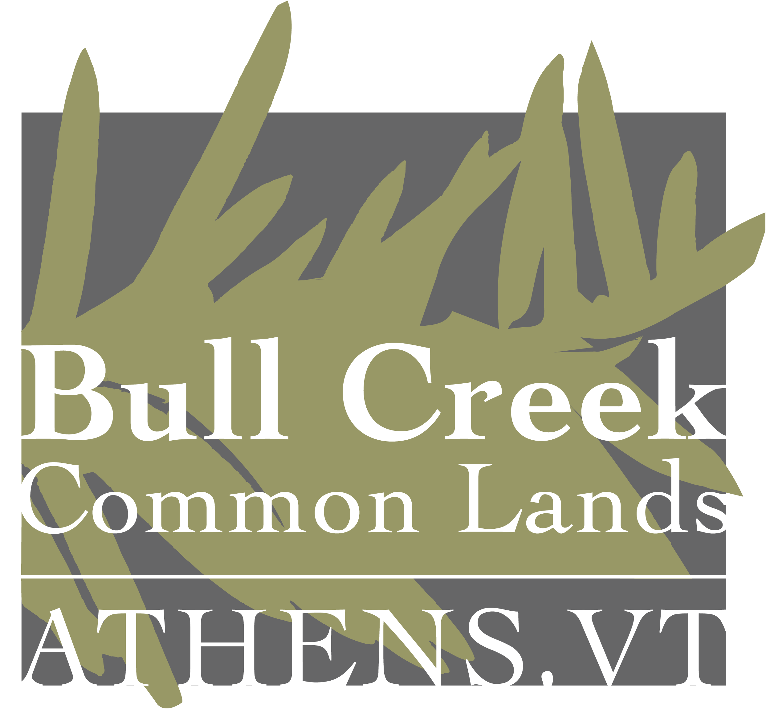 Bull Creek Common Lands